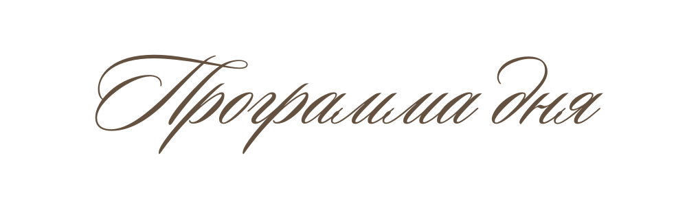Программа дня